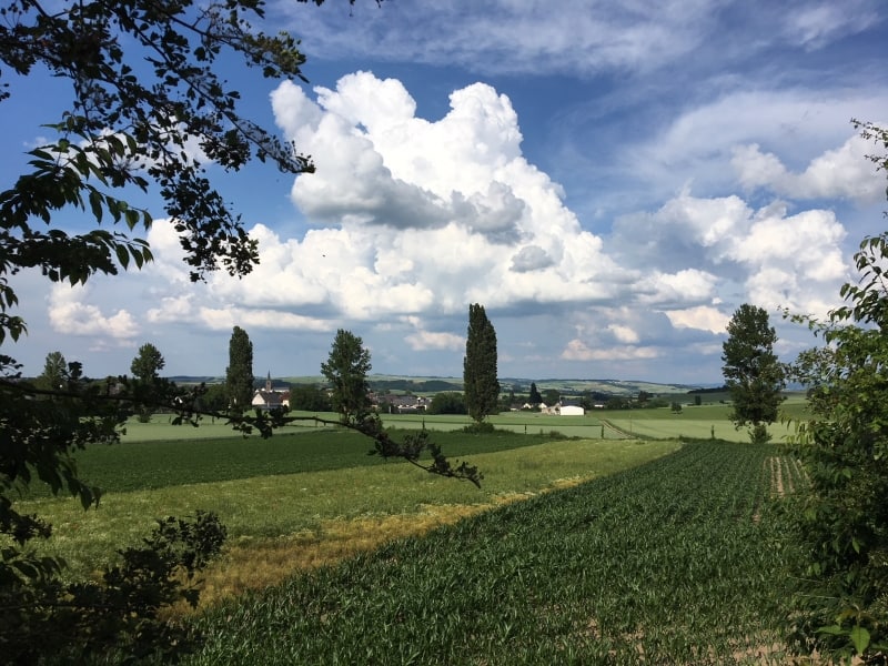 Der Maifeld-Radweg - Landschaft aktiv erlebenMaifeld-Radweg Mertloch