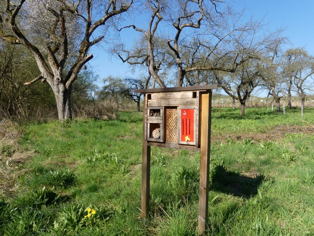 Traumpfad Streuobstwiesenweg