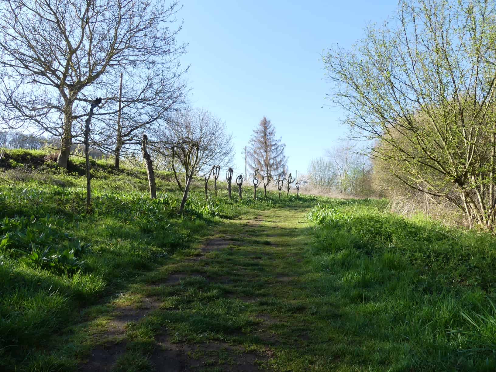 Traumpfad Streuobstwiesenweg