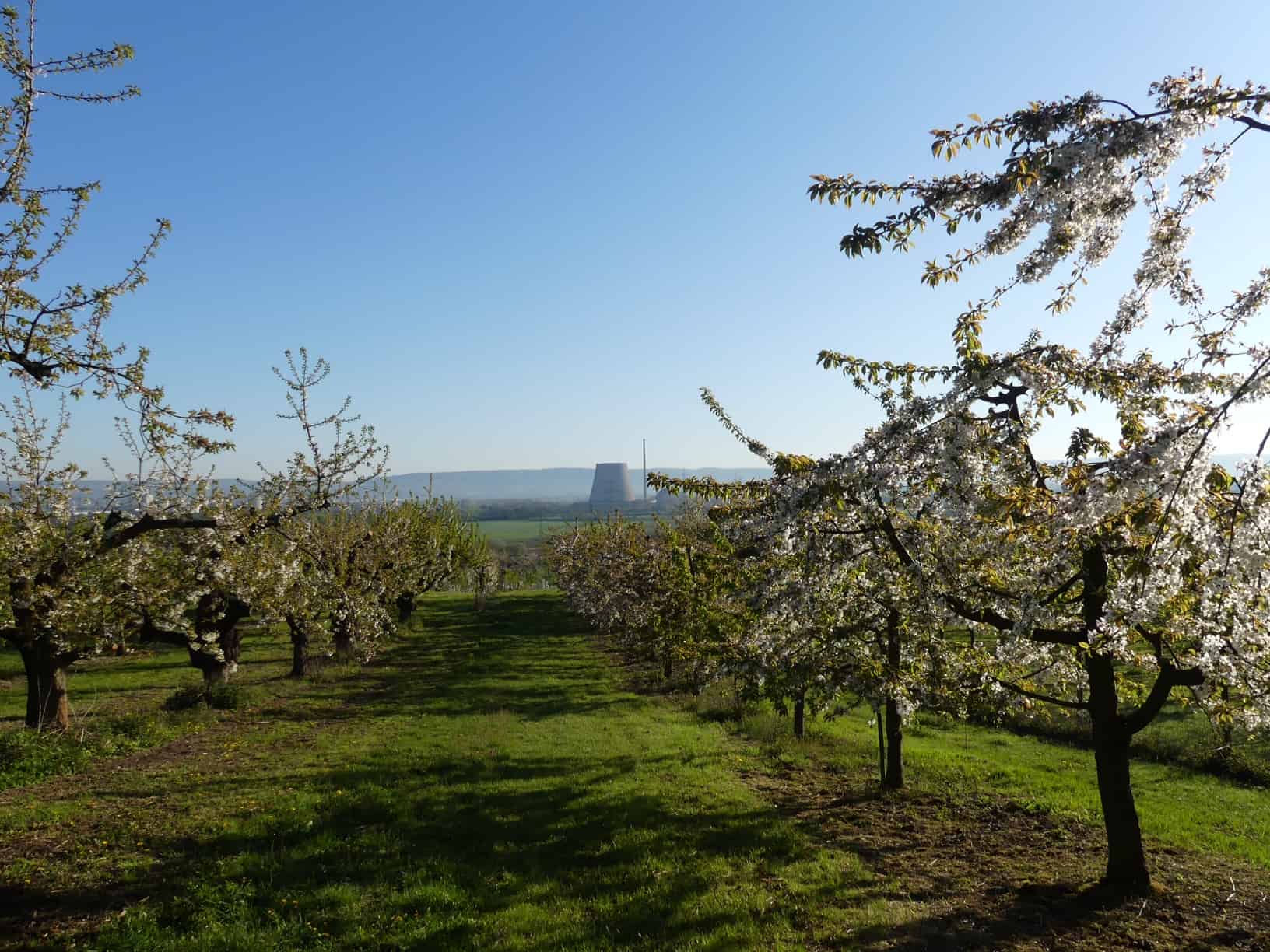 Traumpfad Streuobstwiesenweg