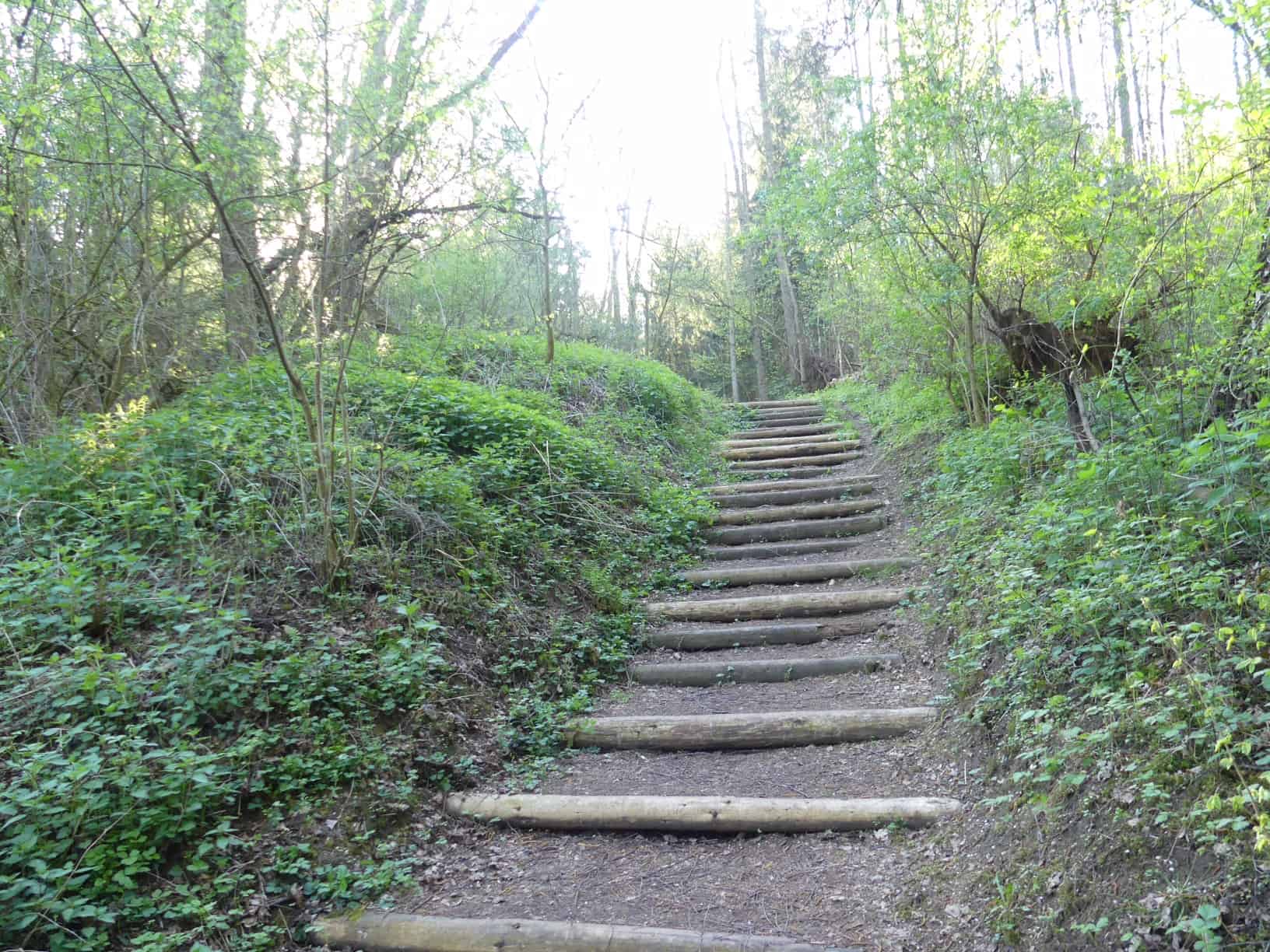 Traumpfad Streuobstwiesenweg