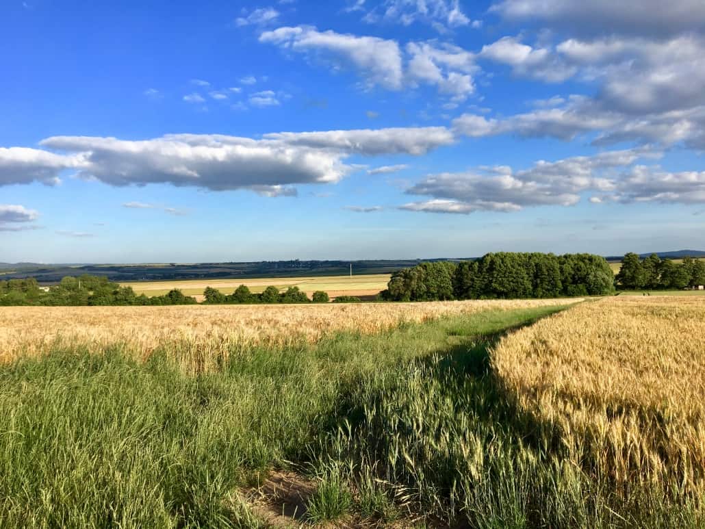 Maifeld-Radweg