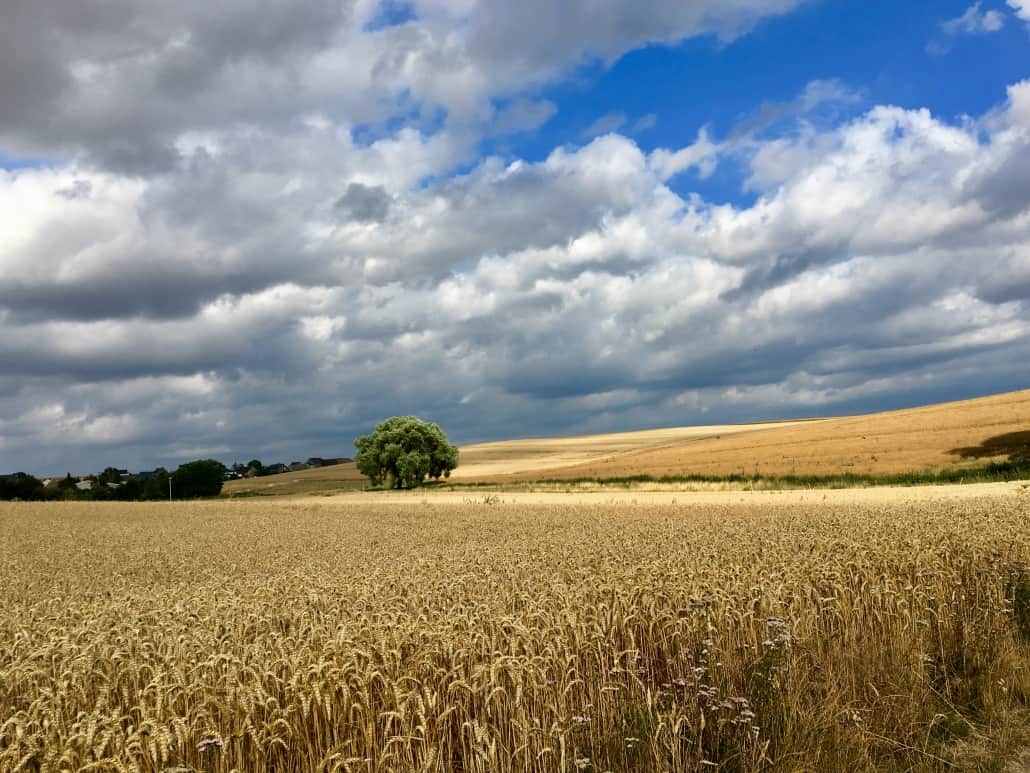 Maifeld-Radweg