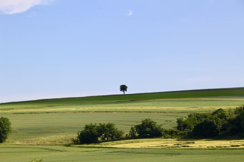 Maifeld Radweg Aussicht