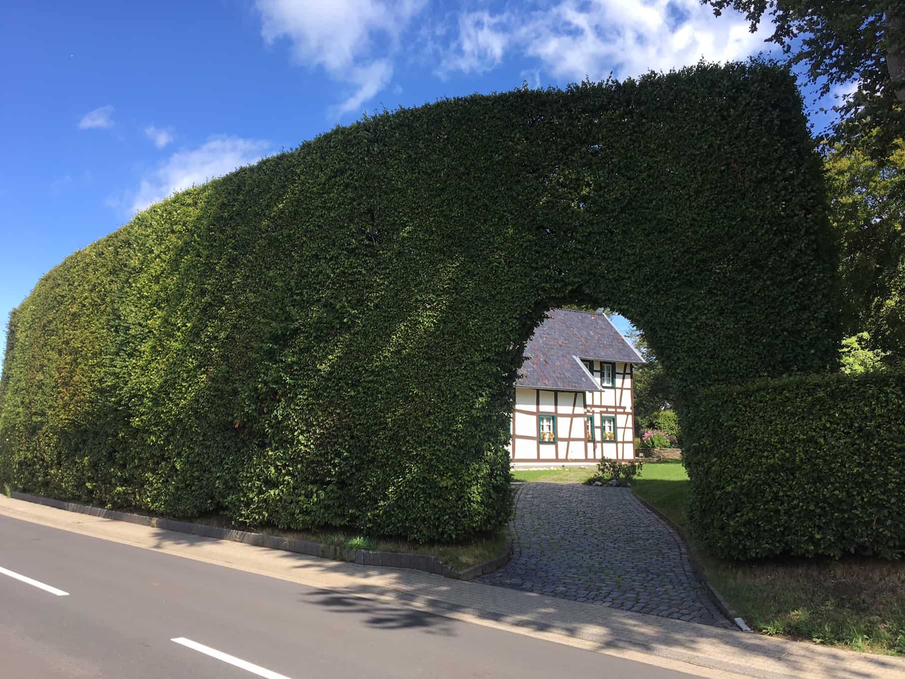 Hecken, Fachwerk, Moor und See-Kurztrip durch die Nordeifel,Heckenweg in Höfen