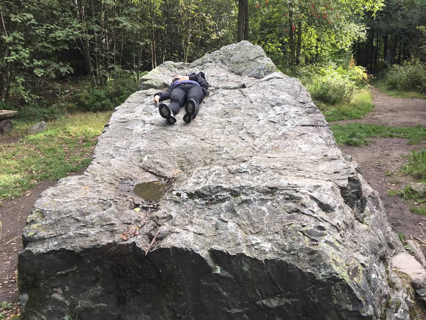 Hecken, Fachwerk, Moor und See-Kurztrip durch die Nordeifel,großer Felsen, der aussieht wie ein Bett