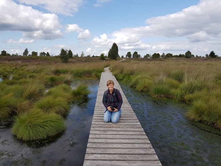 Hecken, Fachwerk, Moor und See-Kurztrip durch die Nordeifel