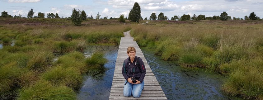 Hecken, Fachwerk, Moor und See-Kurztrip durch die Nordeifel