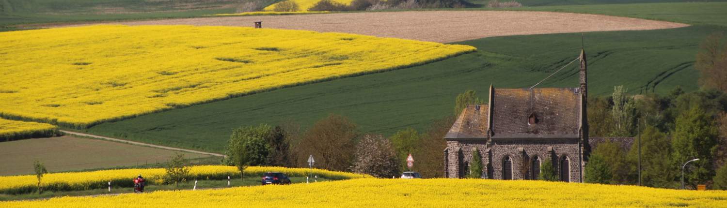 Rapsfeld bei Minkelfeld, Eifel