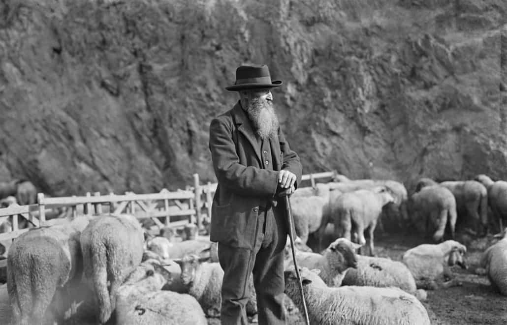 Schäfer aus Bildband "In der Eifel" Fotos von Heinrich Pieroth