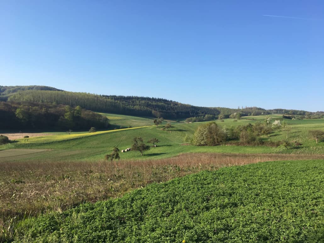 Wiesenlandschaft Traumpfad Höhlen- und Schluchtensteig