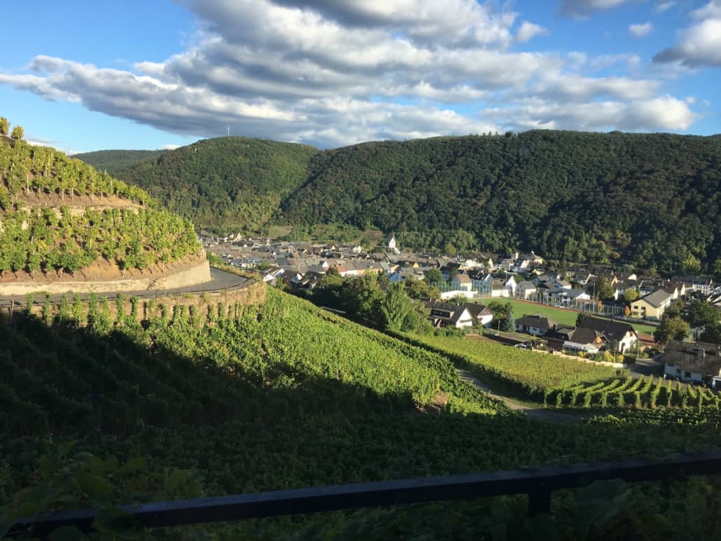 Weinberg an der Mosel