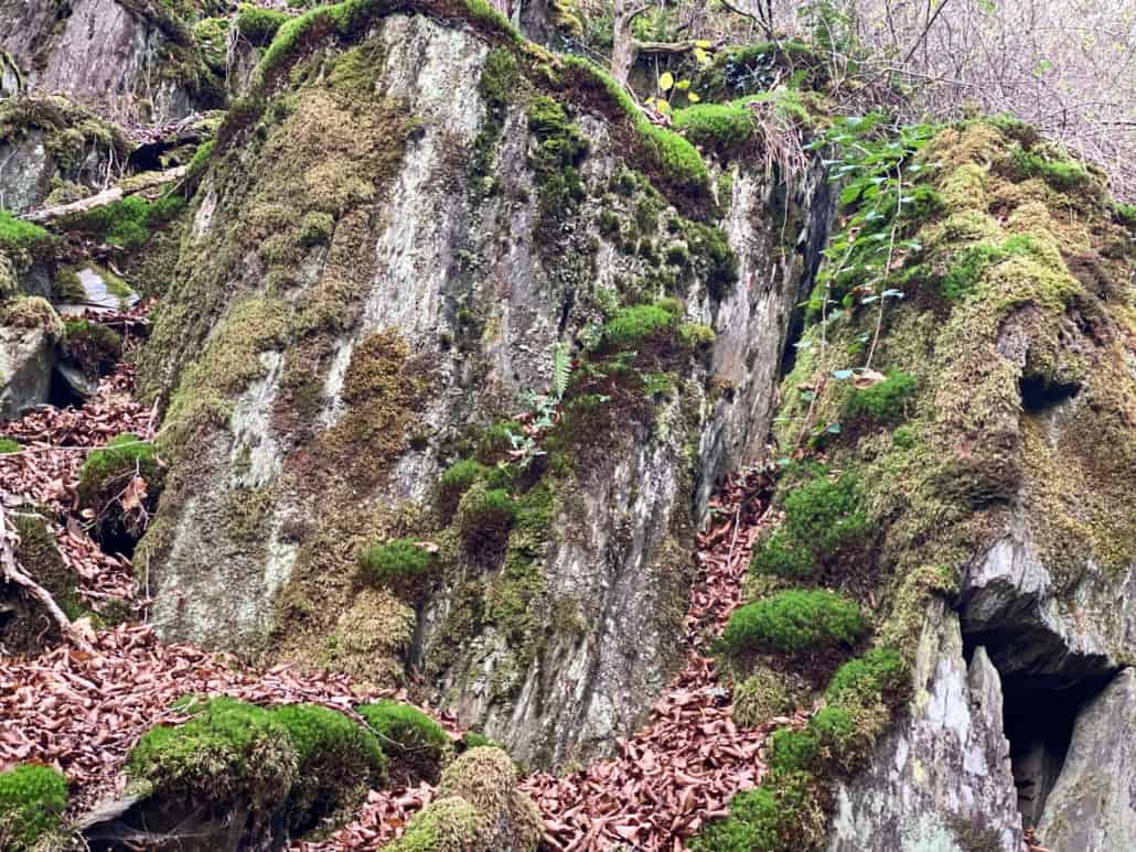 Verstecktes Juwel - Die Klosterruine Mädburg,bemooste Felsen Nähe Mädburg