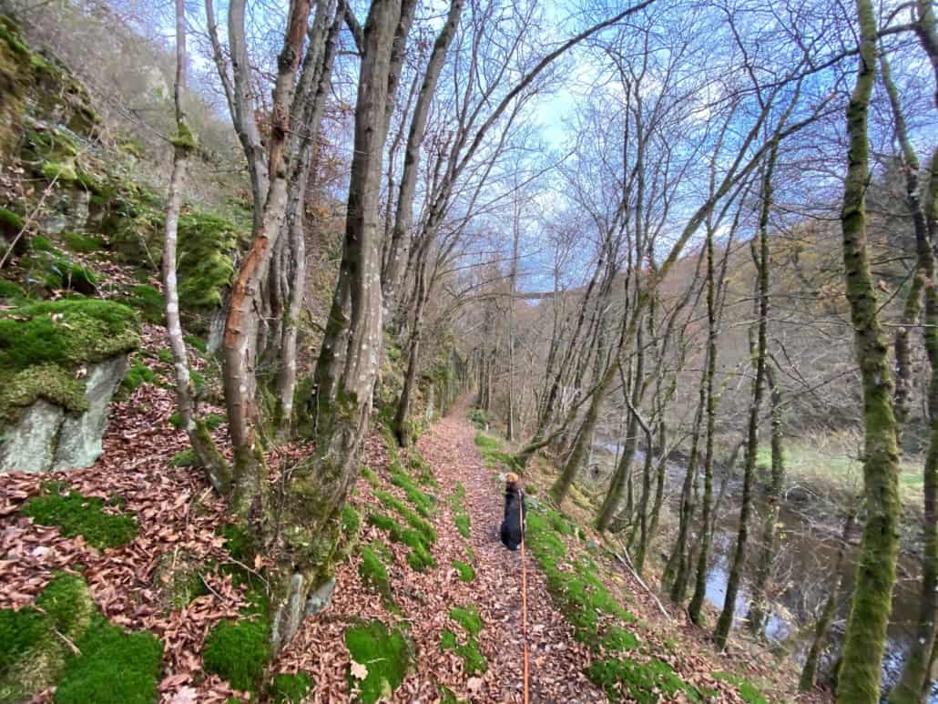 Rundwanderweg um die Klosterruine Mädburg