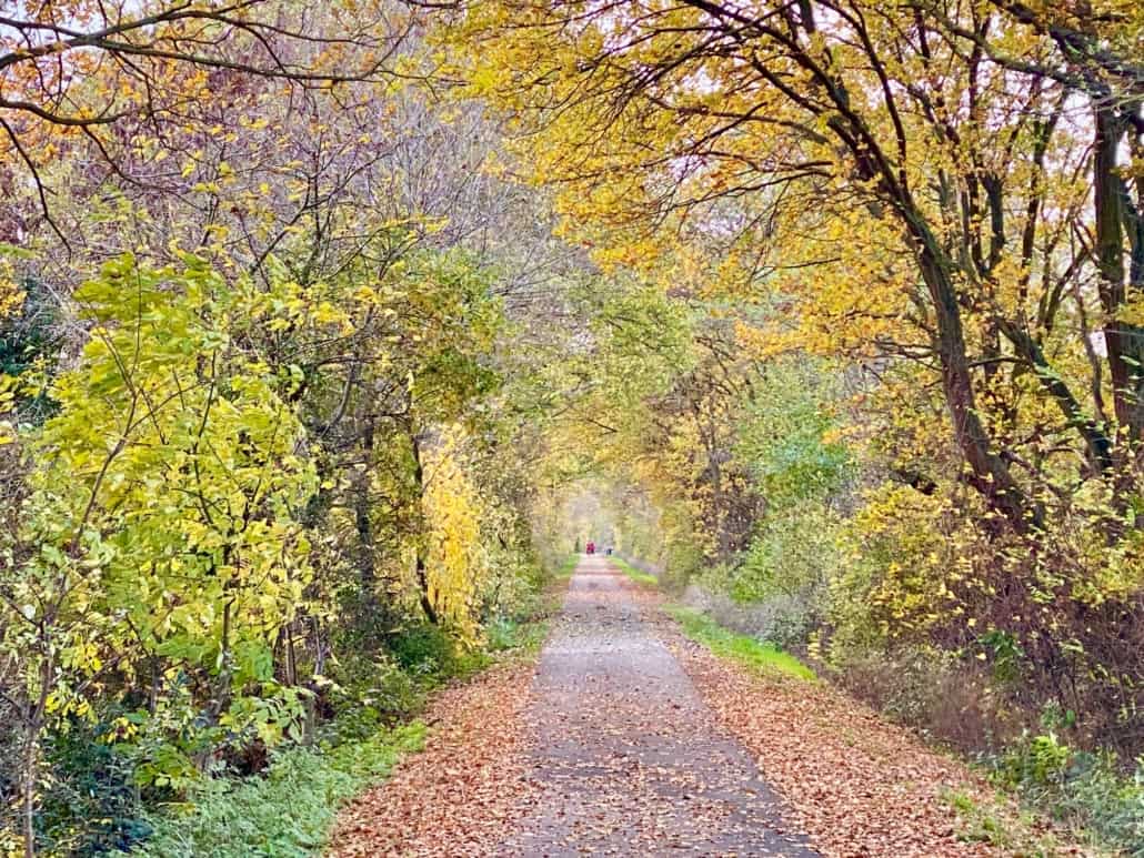 Der Maifeld-Radweg - Landschaft aktiv erleben,Maifeld-Radweg im Herbst