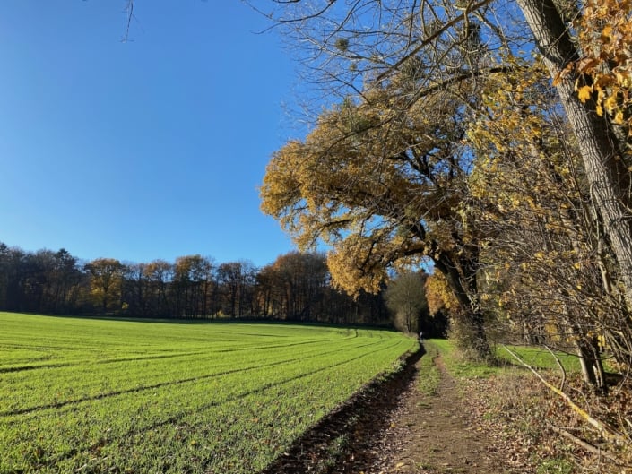Schönwetterweg – Traumpfädchen Mendiger Römerreich Schönwetterweg -Schönwetterweg - Traumpfädchen Mendiger Römerreich