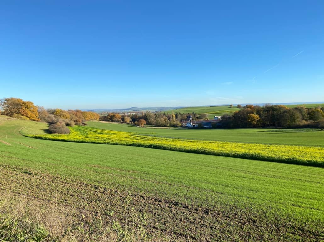 Schönwetterweg - Traumpfädchen Mendiger Römerreich,Wiesenlandschaft auf dem Mendig vom Traumpfädchen Mendiger Römerreich