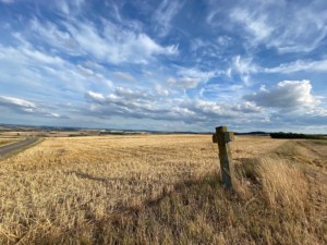 Mystisch und fotogen - Basaltkreuze in der Osteifel, Kreuz im Getreidefeld