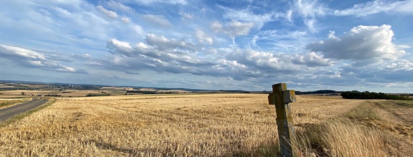 Mystisch und fotogen - Basaltkreuze in der Osteifel, Kreuz im Getreidefeld