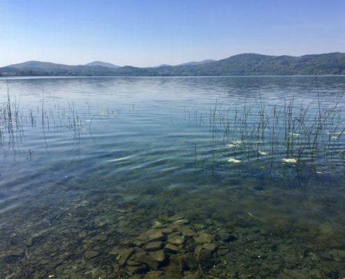Osteifel-Highlight: Wandern um den Laacher See, See