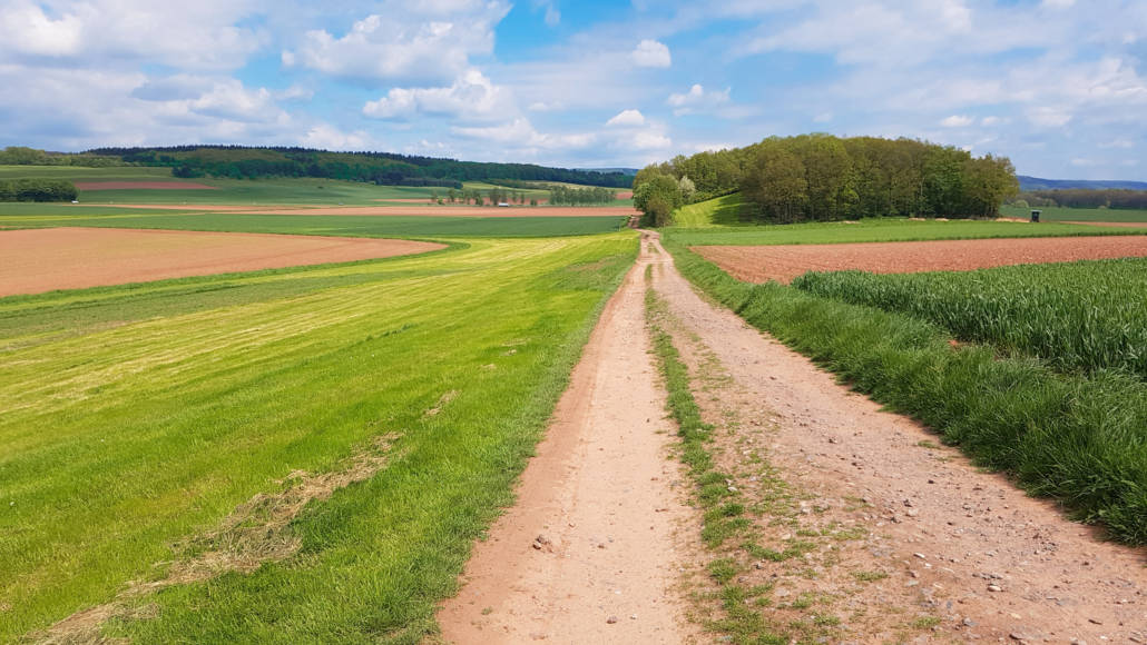 Offene Herzen, offene Türen - Begegnungen auf dem Eifel-Camino,offene Landschaft auf dem Eifel-Camino