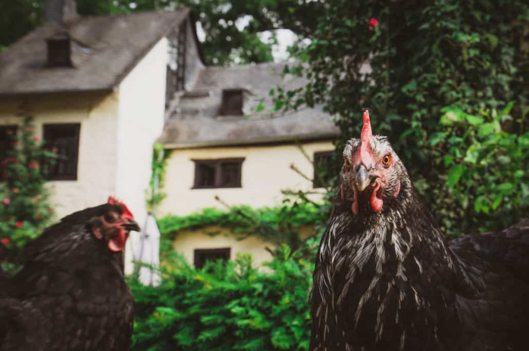 Schöner wohnen in der Löffelmühle