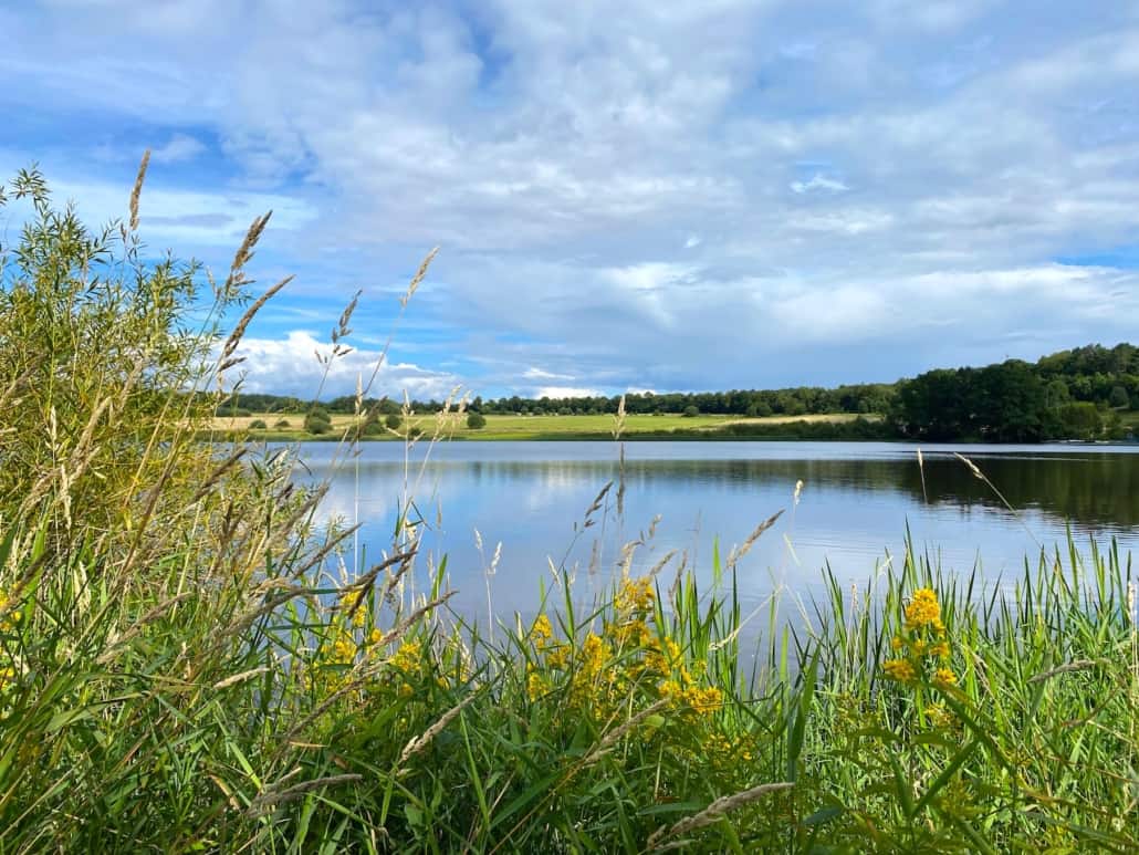 Jungferweiher in Ulmen