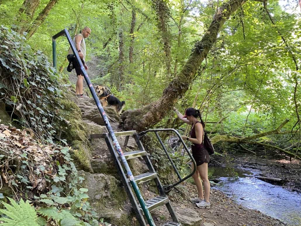 Ehrbachklamm mit Hund