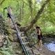 Ehrbachklamm mit Hund