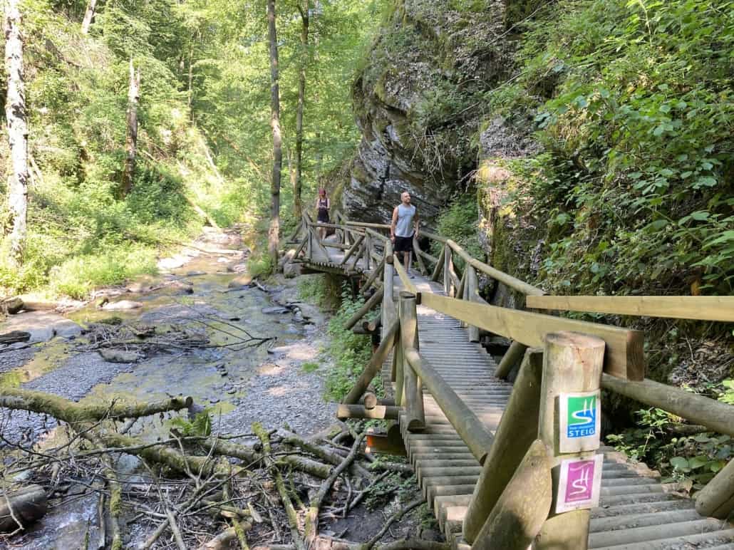 Ehrbachklamm mit Hund