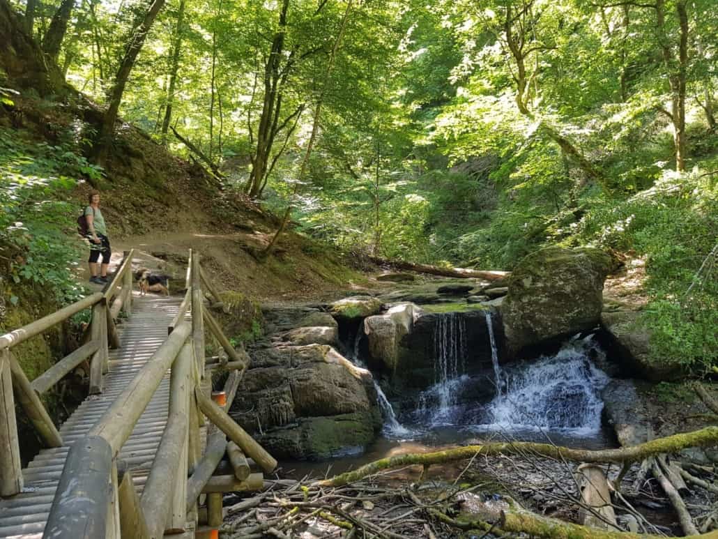 Ehrbachklamm mit Hund