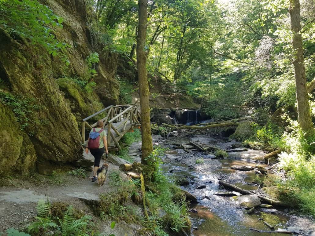 Ehrbachklamm mit Hund