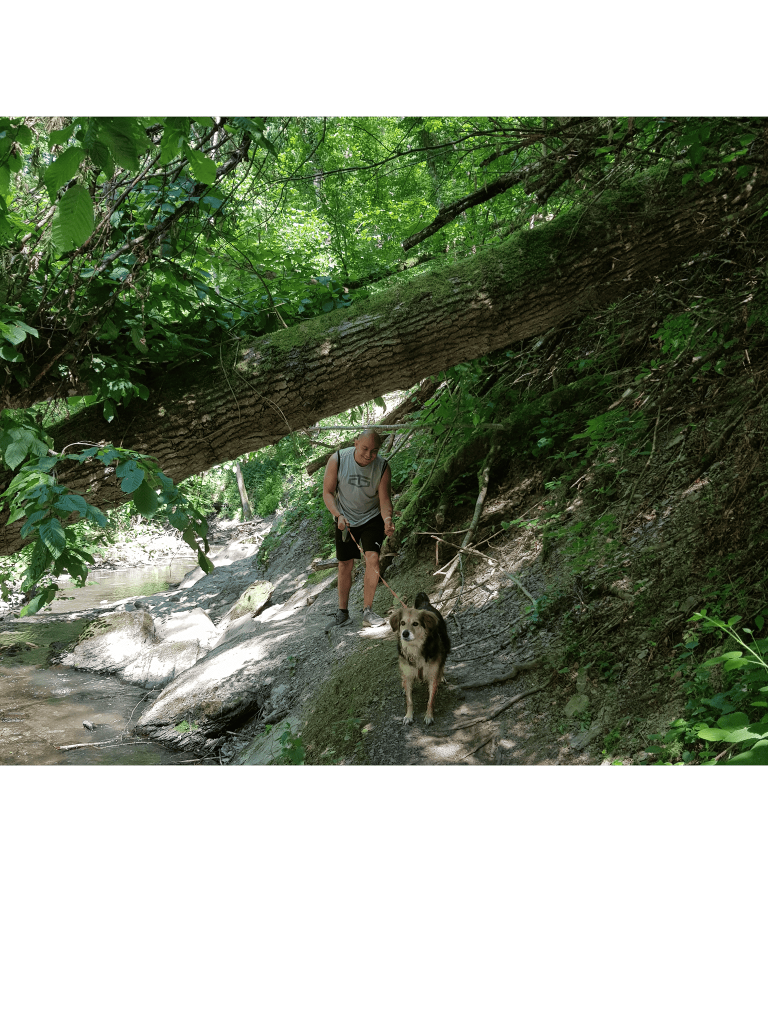 Ehrbachklamm mit Hund