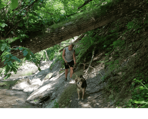 Ehrbachklamm mit Hund