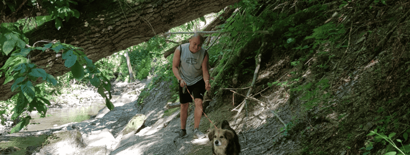 Ehrbachklamm mit Hund