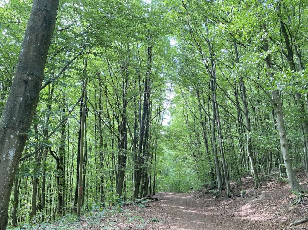 Glasklar - Das Pulvermaar bei Gillenfeld in der Eifel