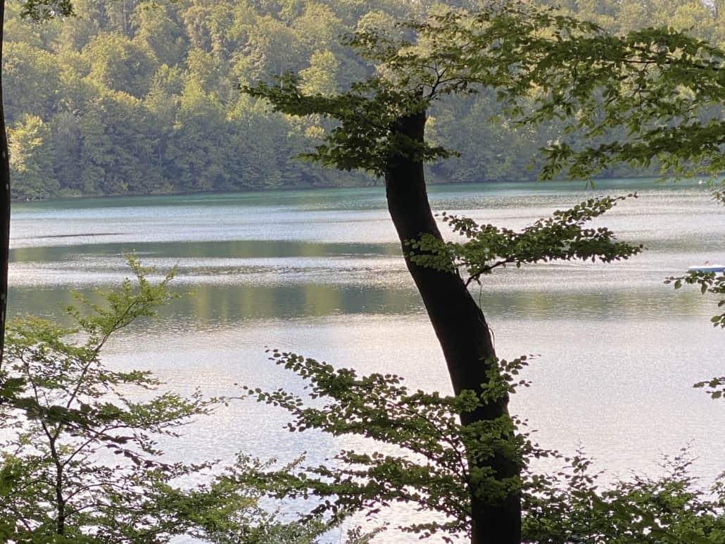 Glasklar - Das Pulvermaar bei Gillenfeld in der Eifel