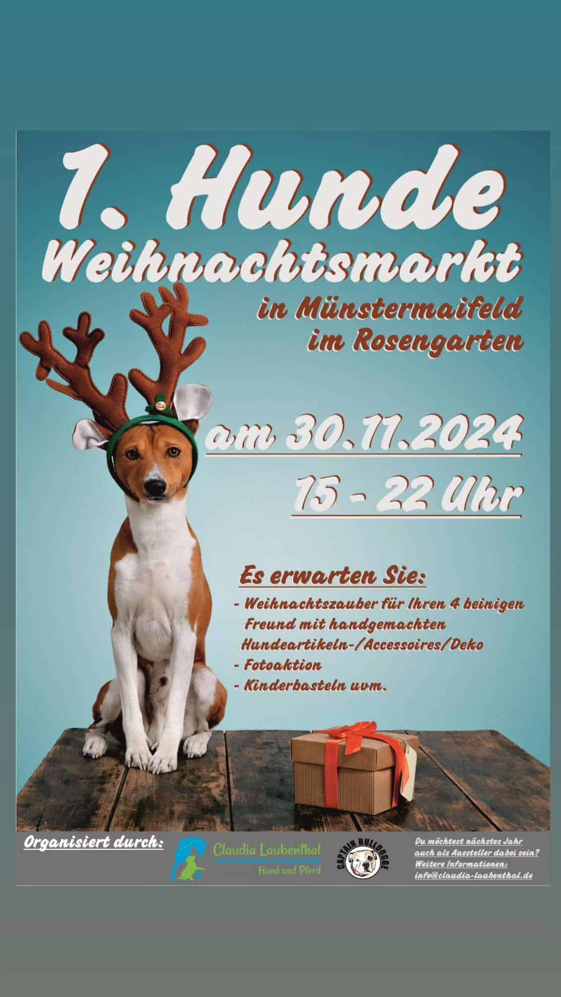 Hundeweihnachtsmarkt Münstermaifeld