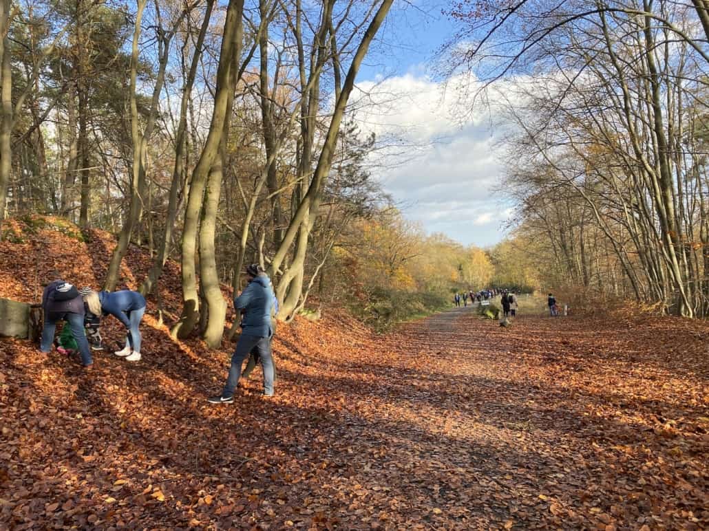 Der Kottenheimer Wichtelweg