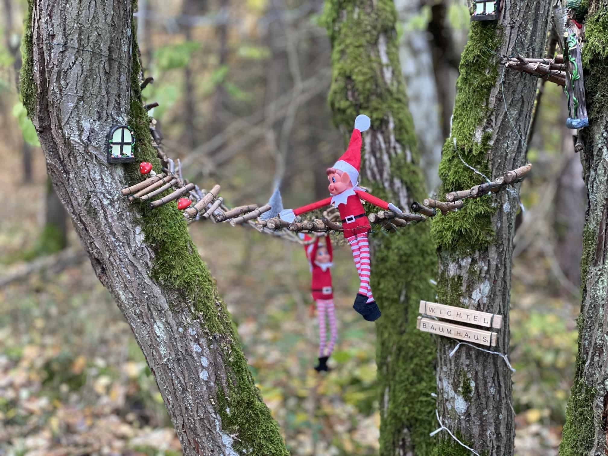Der Kottenheimer Wichtelweg MeineEifel