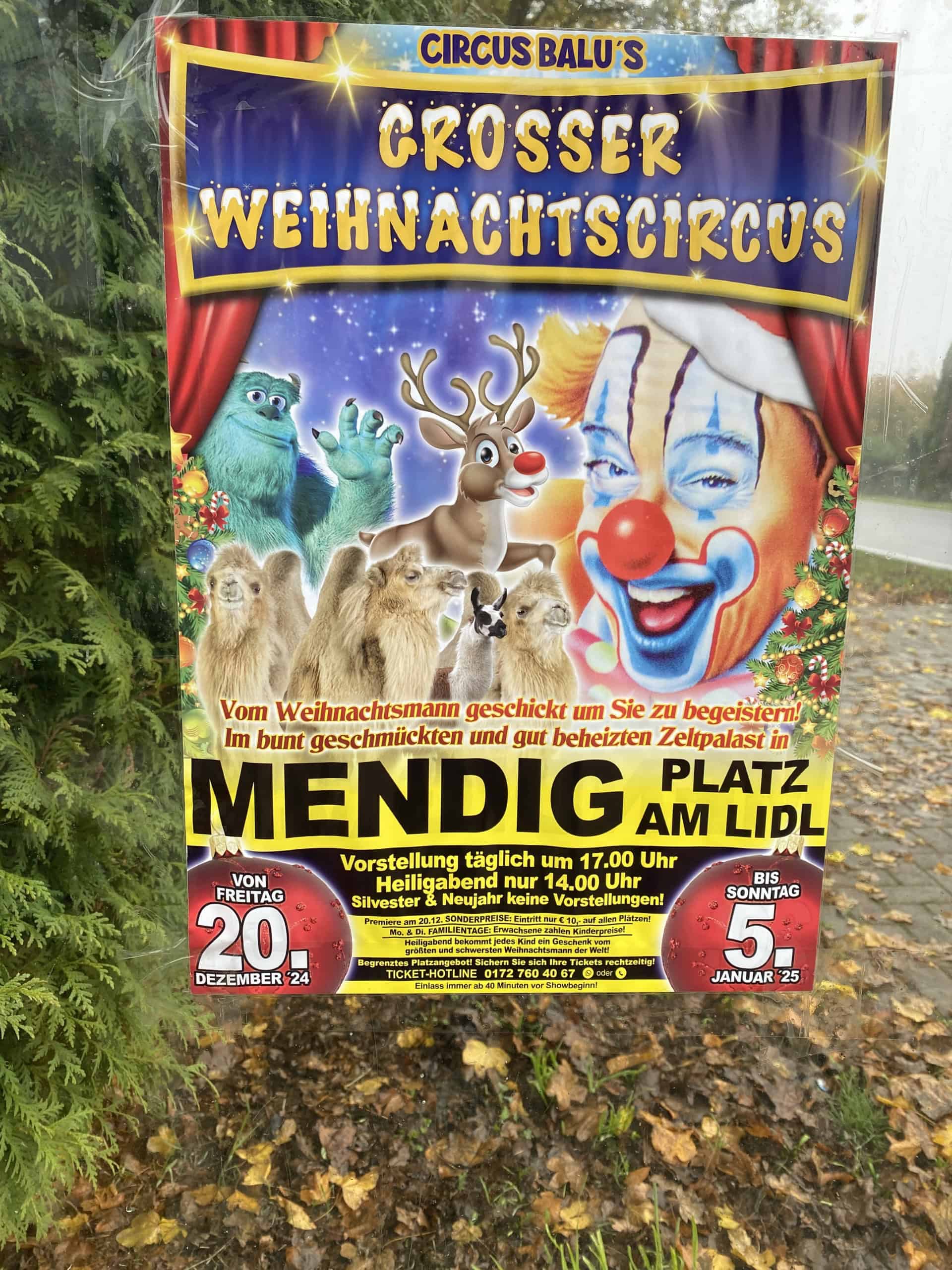 Weihnachtszirkus