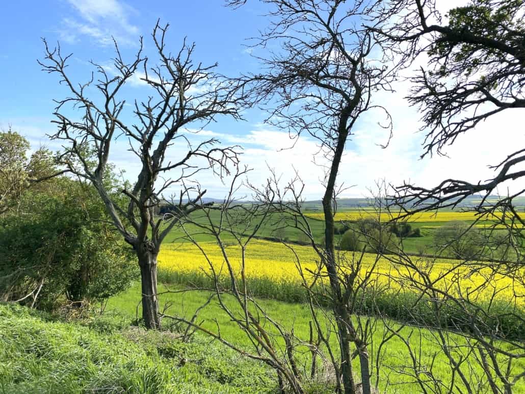 Paradiesweg Polch