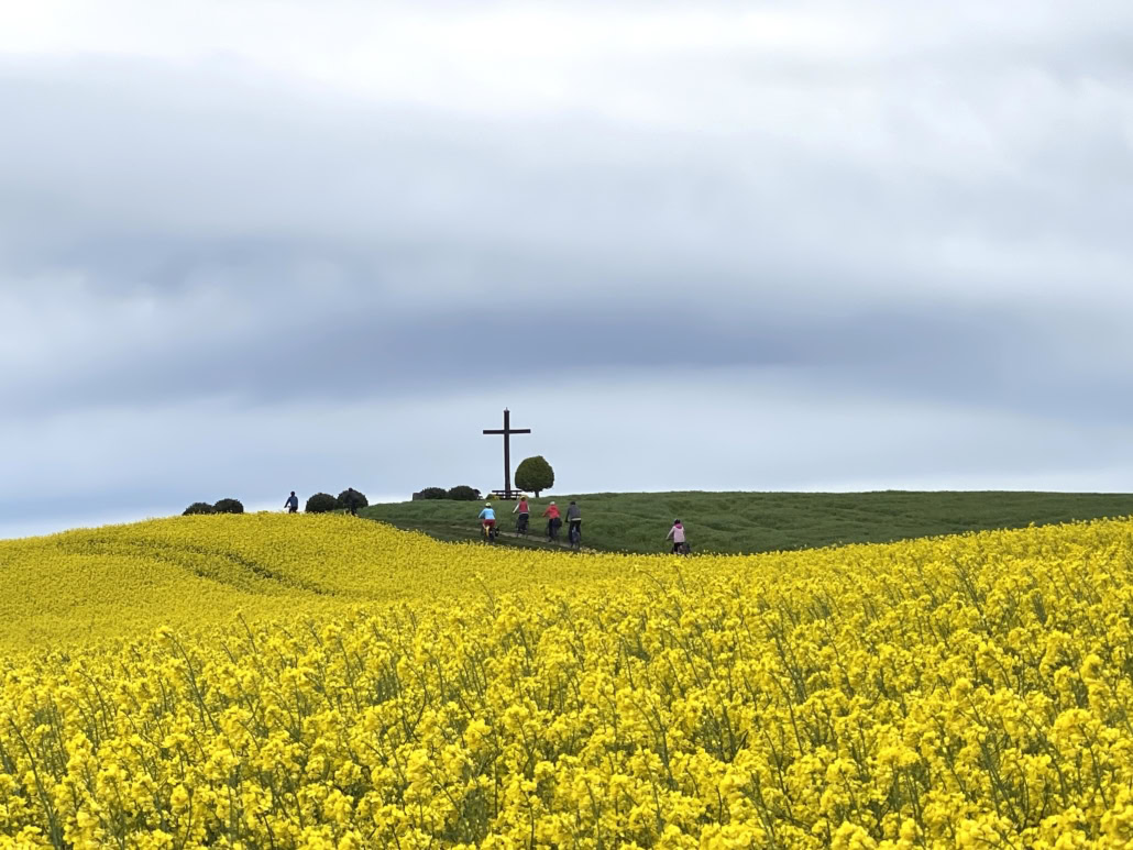 Hochkreuz in Kollig Rapsfeld Radwanderung