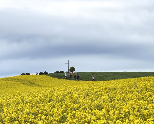 Hochkreuz in Kollig Rapsfeld Radwanderung