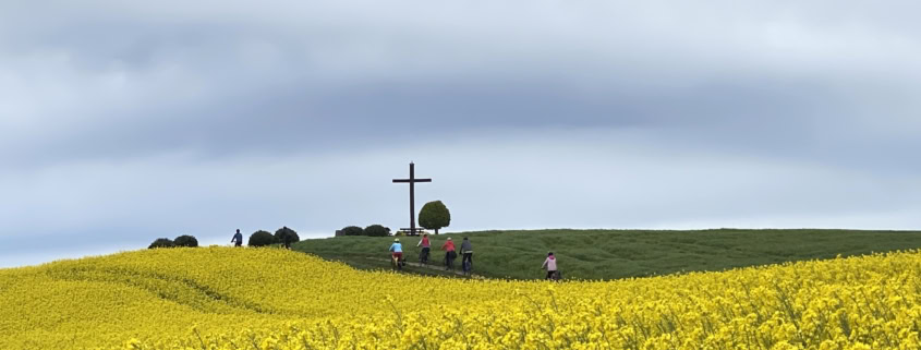 Hochkreuz in Kollig Rapsfeld Radwanderung