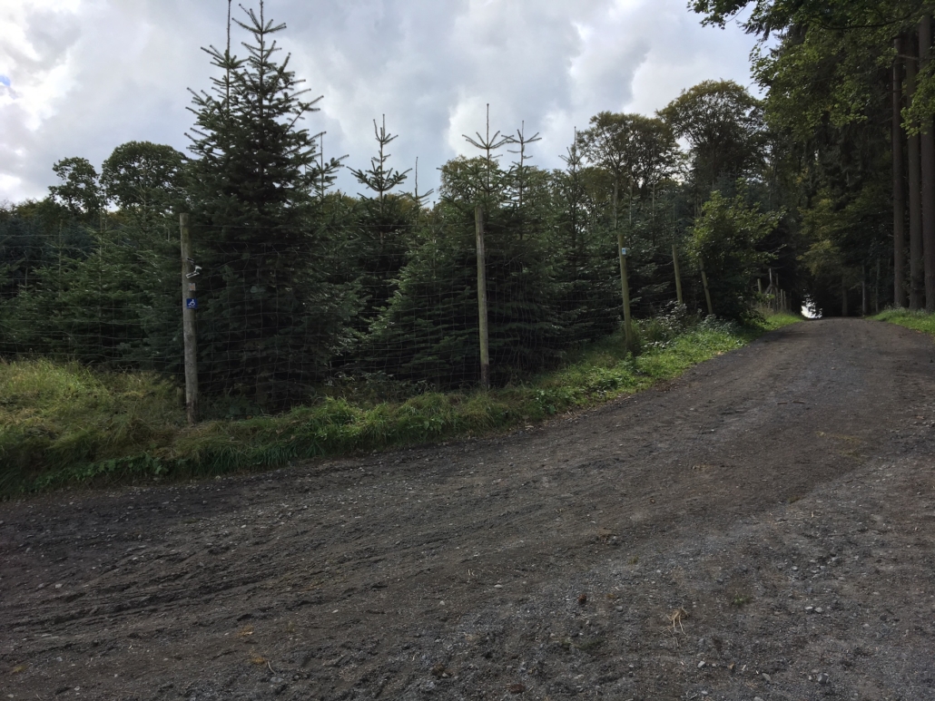 Rollstuhlwanderweg Mayen Kürrenberg