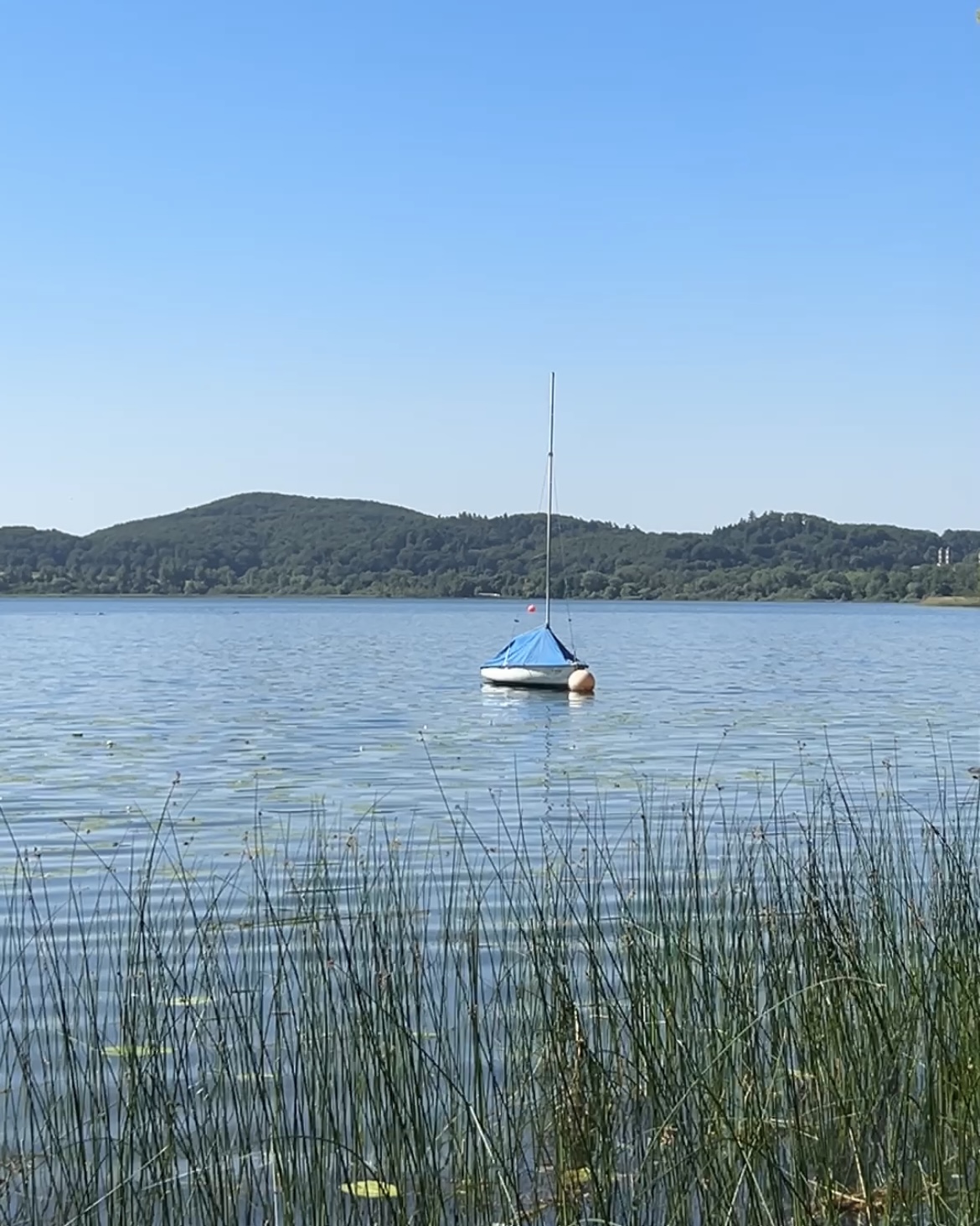 Schwimmen im Laacher See