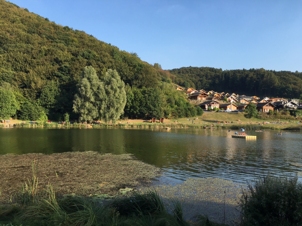 Riedenert Waldsee im Sommer